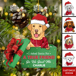 A True Friend - Personalized Acrylic Ornament - New Release
