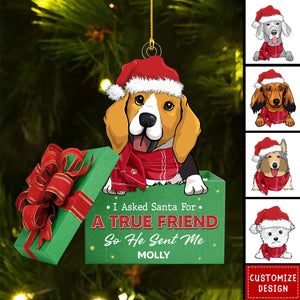 A True Friend - Personalized Acrylic Ornament - New Release