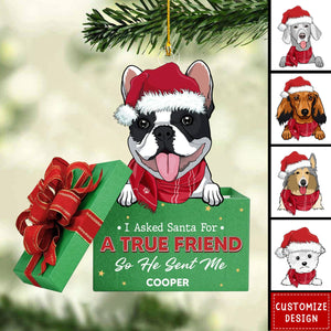 A True Friend - Personalized Acrylic Ornament - New Release