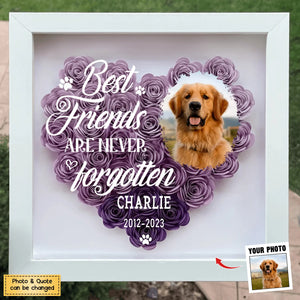 Once By My Heart - Personalized Memorial Flower Shadow Box, Sympathy Gifts For Loss Of Pets