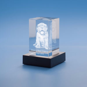 Personalized Custom Photo engraved Crystal - Crystal Rectangle For Family