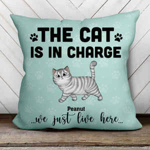 The Cat Is In Charge Personalized Cat Pillow - Insert NOT Included
