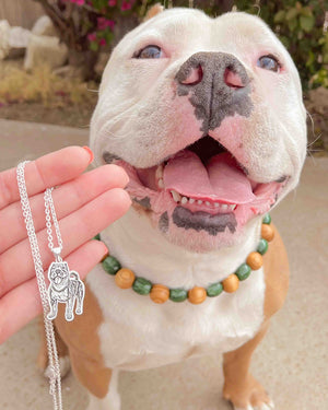 Personalized Silver Necklace, Upload Photo and Names