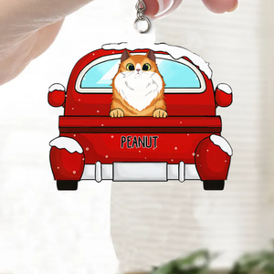 Personalized Custom Shaped Acrylic Keychain - Gift For Pet Owners, Pet Lovers