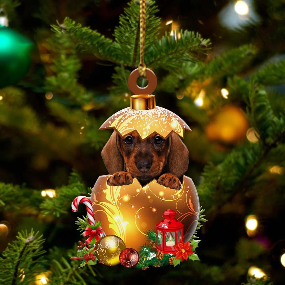 Personalied Dog With Christmas Ball - Two Sided Ornament