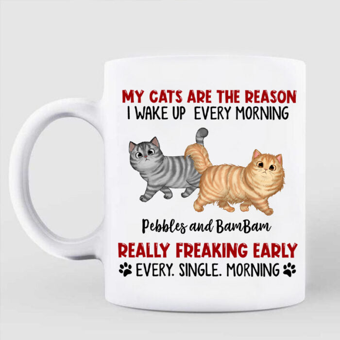 Reason I Wake Up Early Walking Fluffy Cats Personalized Mug Coffee Mug