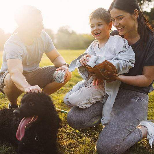 You Will Never Lose - Baseball To My Daughter