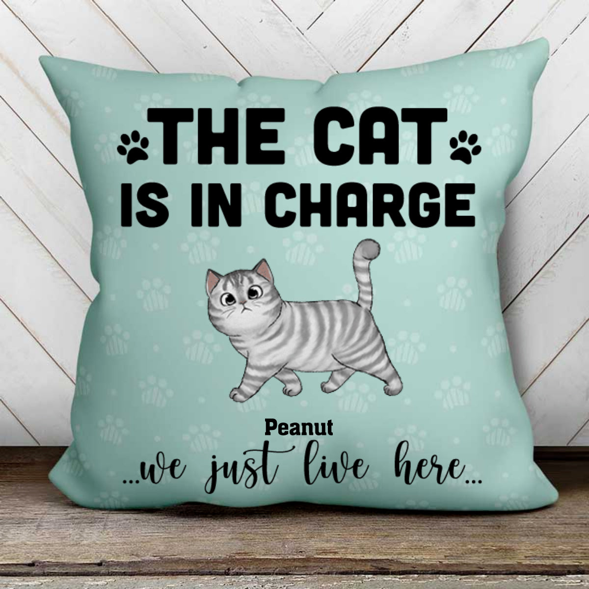 The Cat Is In Charge Personalized Cat Pillow - Insert NOT Included