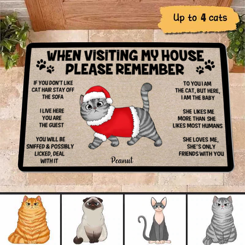 Please Remember When Visiting Cats House Personalized Christmas Doormat