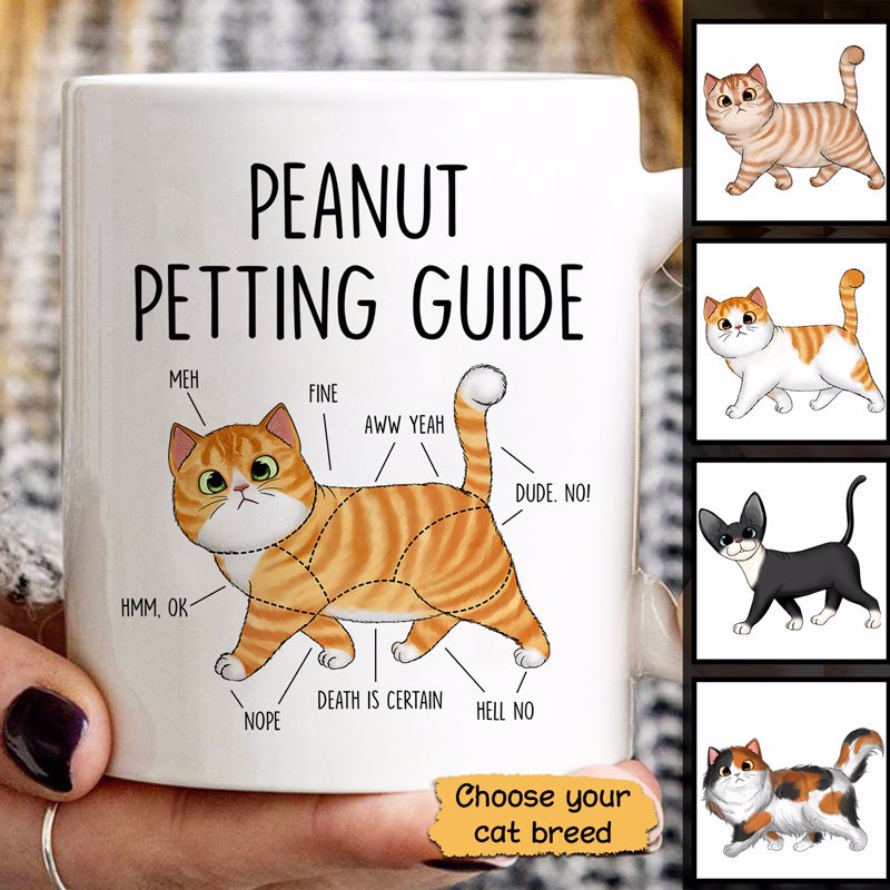 Fluffy Cat Petting Guide Personalized Mug
