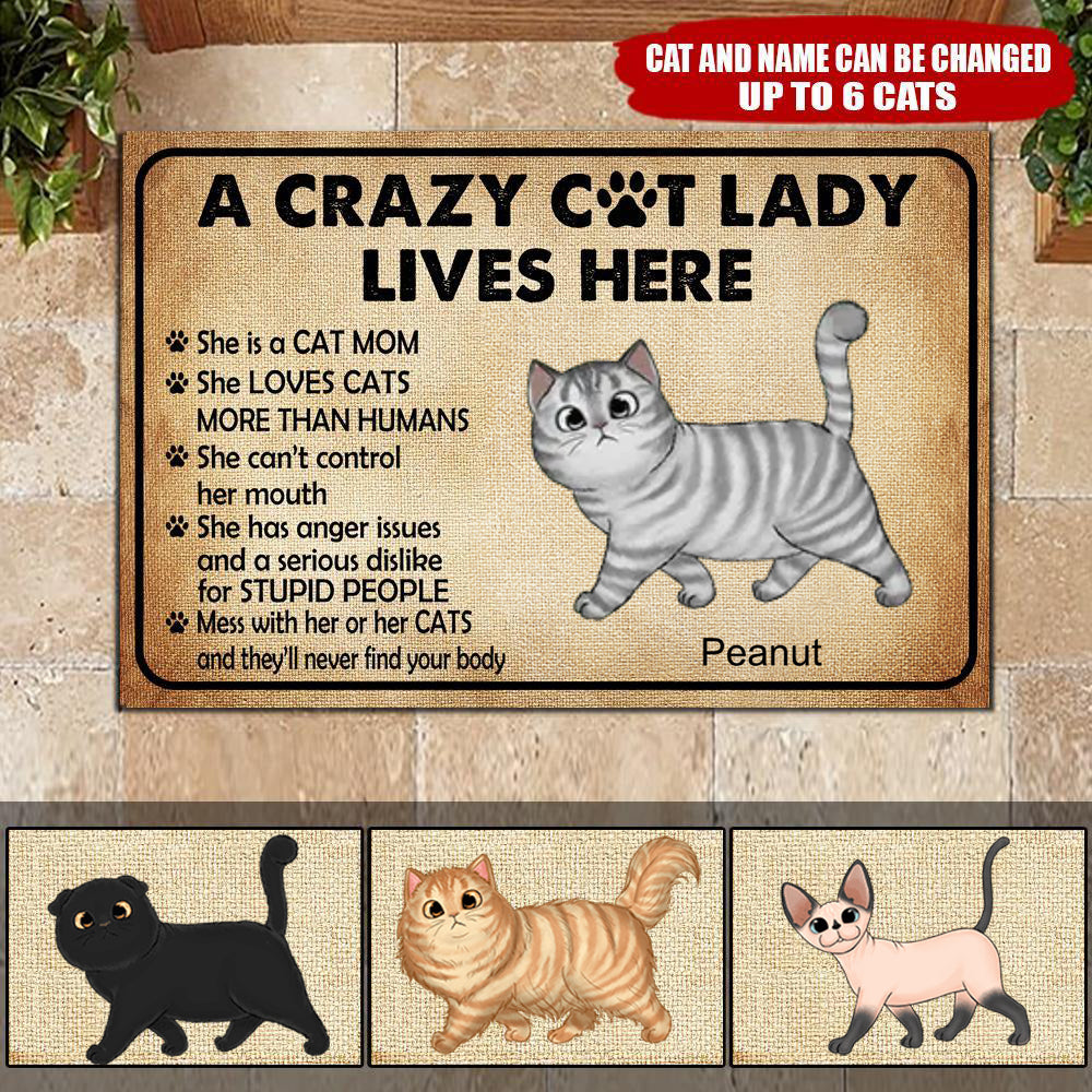 Cat Custom Doormat Crazy Cat Lady Lives Here Personalized Gift