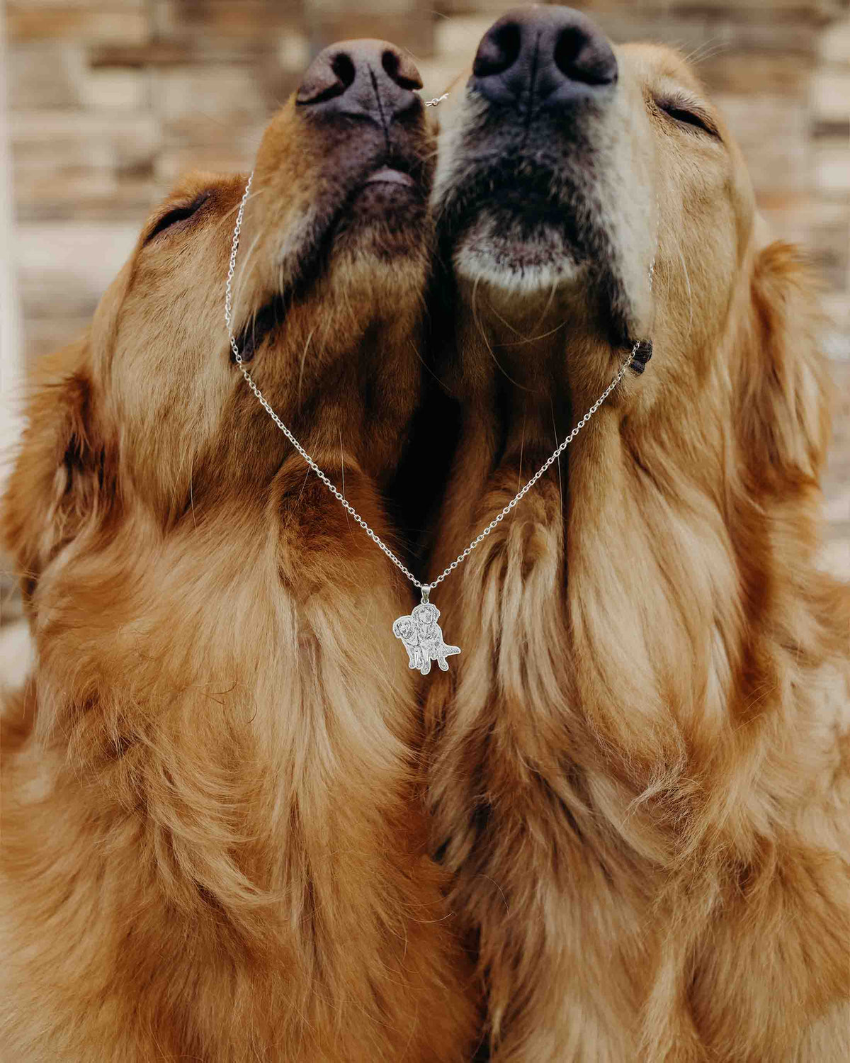 Personalized Silver Necklace, Upload Photo and Names