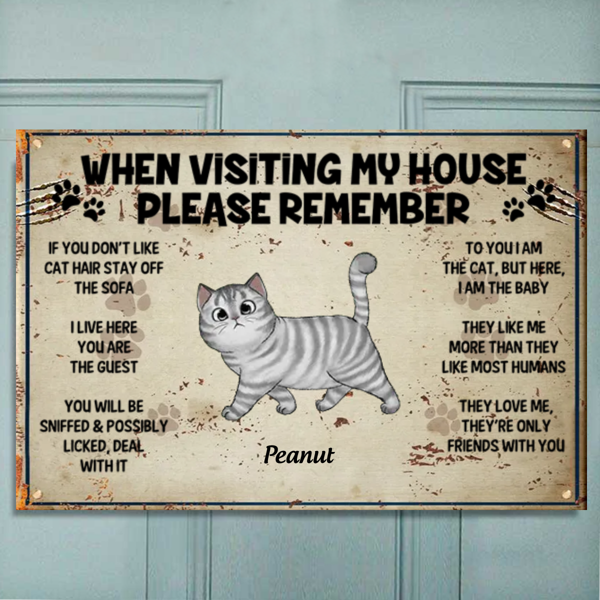 Visting My House Please Remember, Personalized Metal Door Sign for Cat Lovers