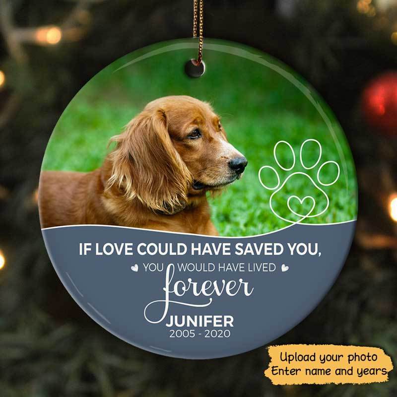 Dog Cat Memorial If Love Could Have Saved You Half Photo Circle Personalized Decorative Christmas Ornament