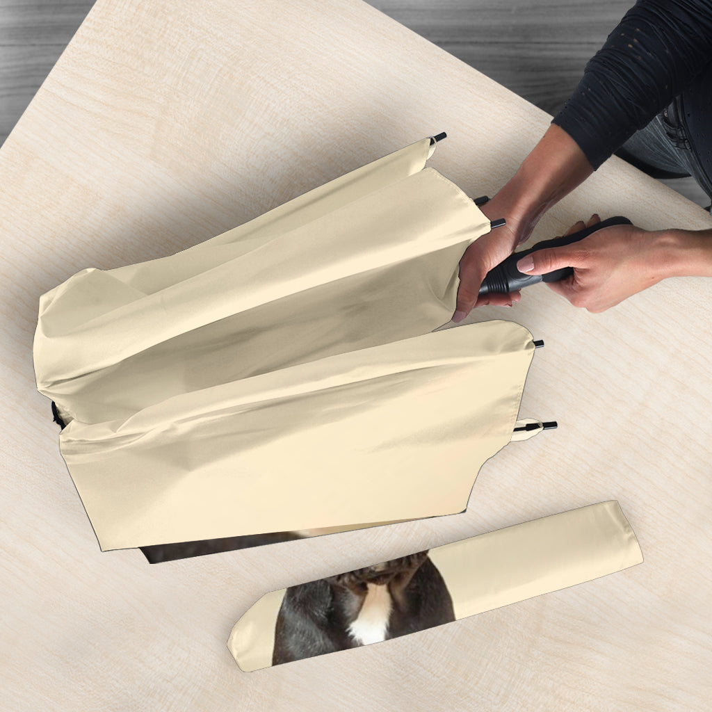 Image Upload - Gifts for Pet Lovers Family Members - Custom Umbrella