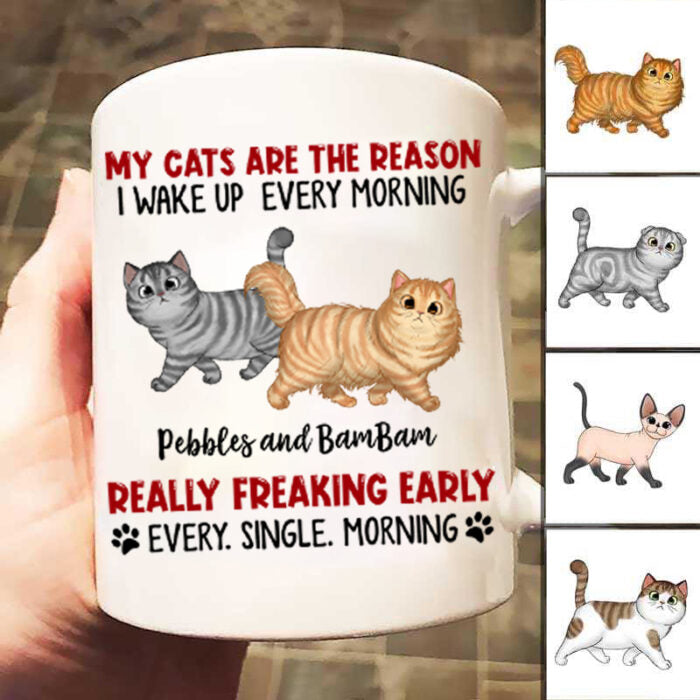 Reason I Wake Up Early Walking Fluffy Cats Personalized Mug